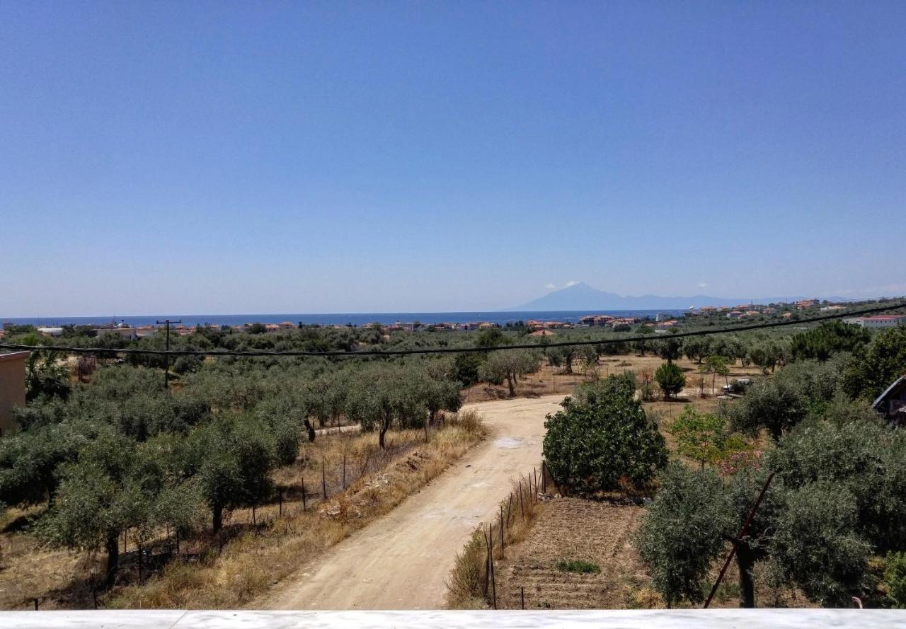 Olive Grove House Lägenhet Limenaria  Exteriör bild