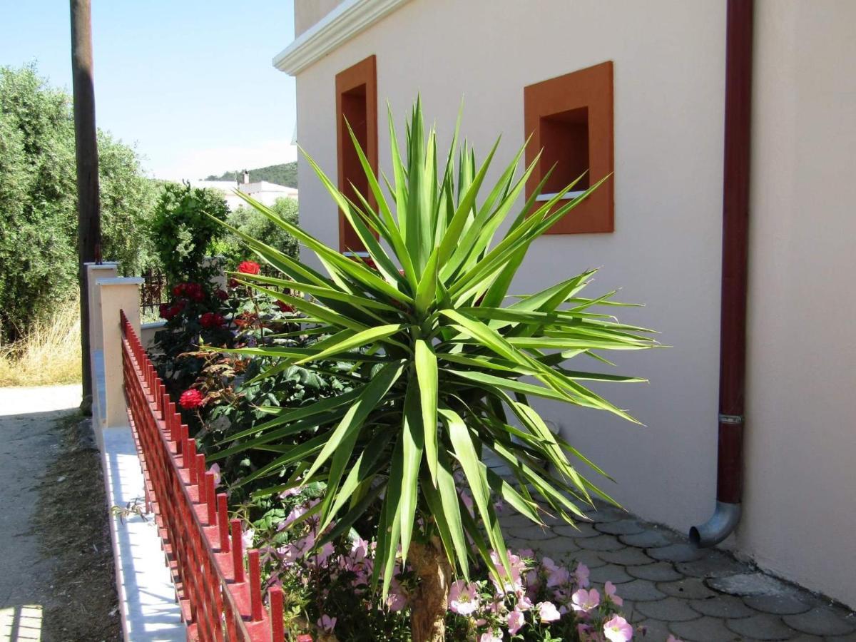 Olive Grove House Lägenhet Limenaria  Exteriör bild